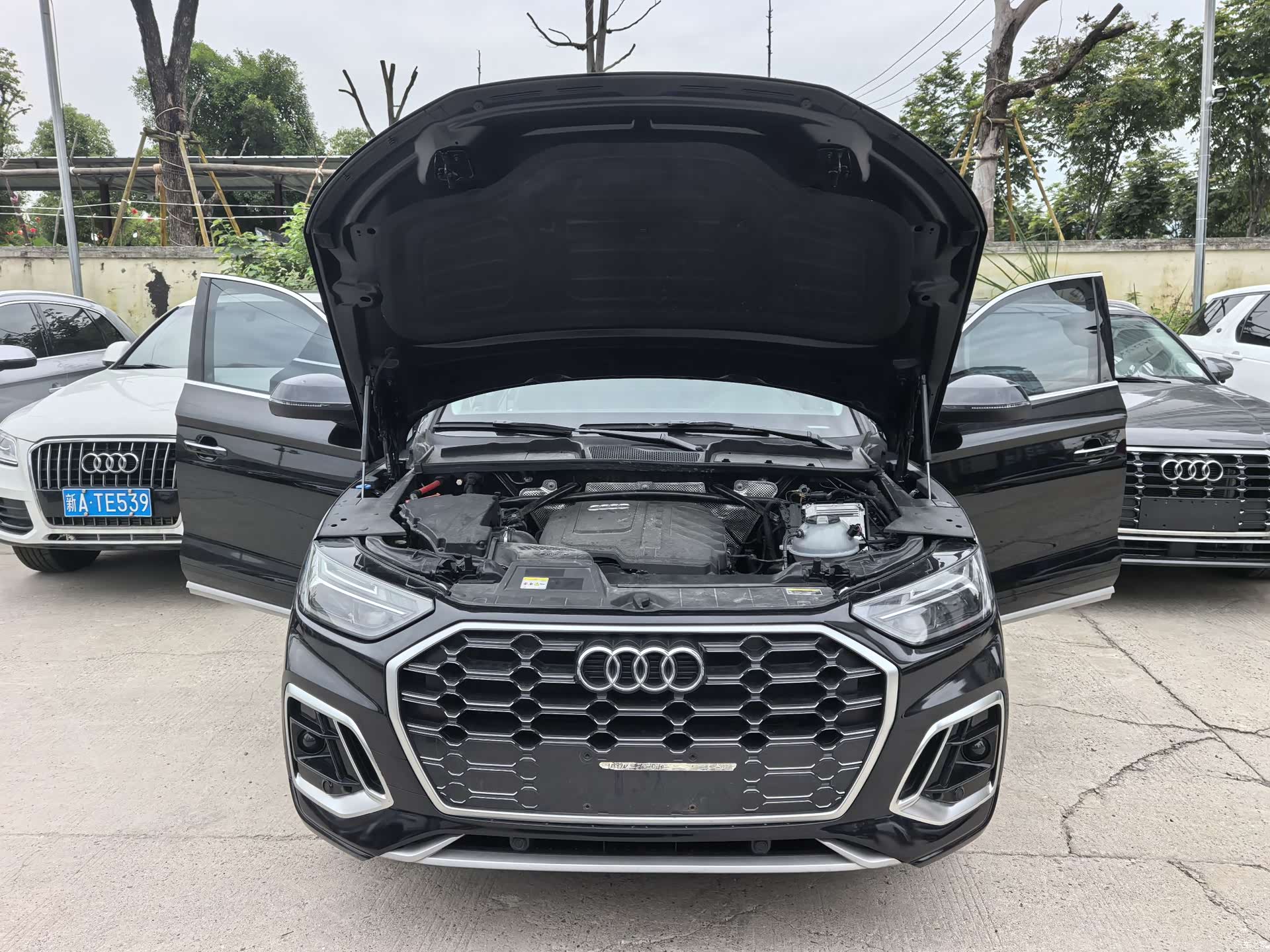 Audi Q5L, 2024 7