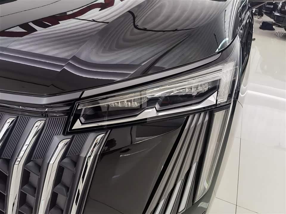 Trumpchi Trumpchi M8