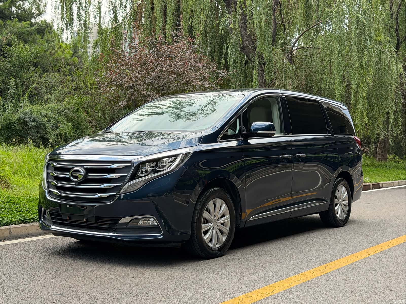 Trumpchi M8, 2018 1