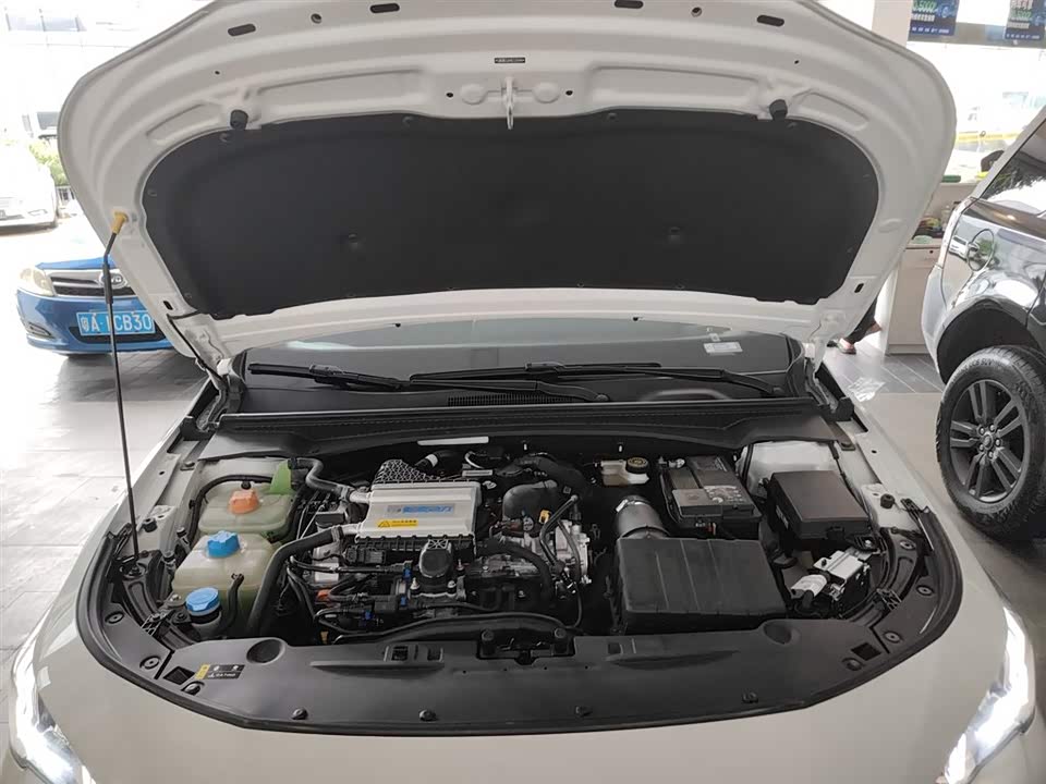Trumpchi Shadow Leopard