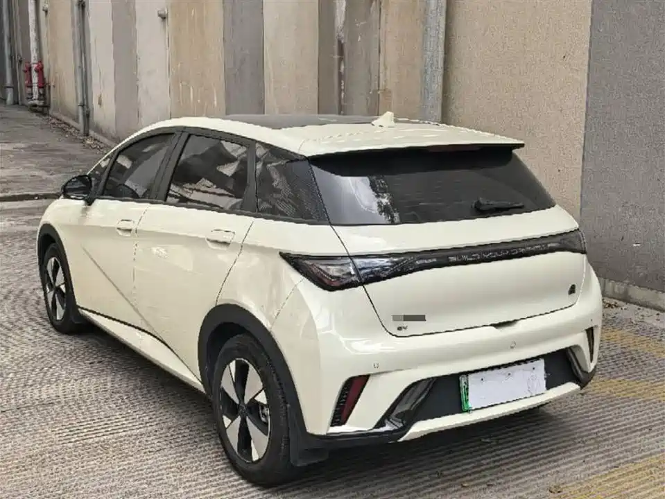 BYD dolphin