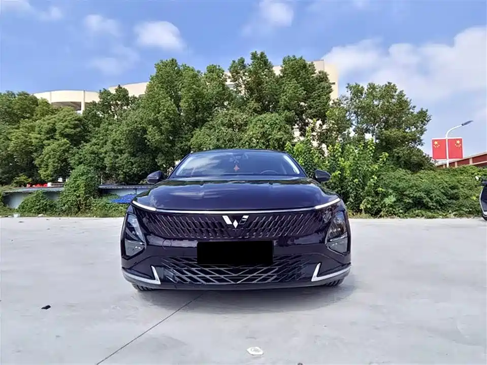 Wuling Wuling Starlight