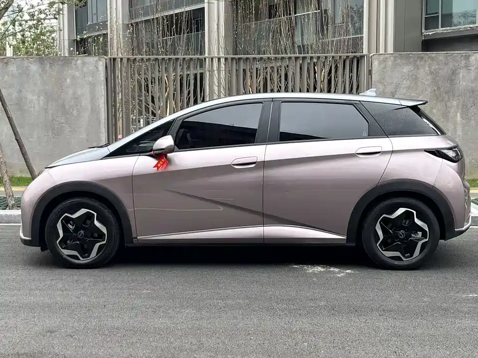 BYD dolphin