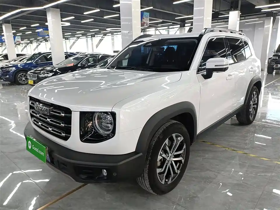 Haval Big dog