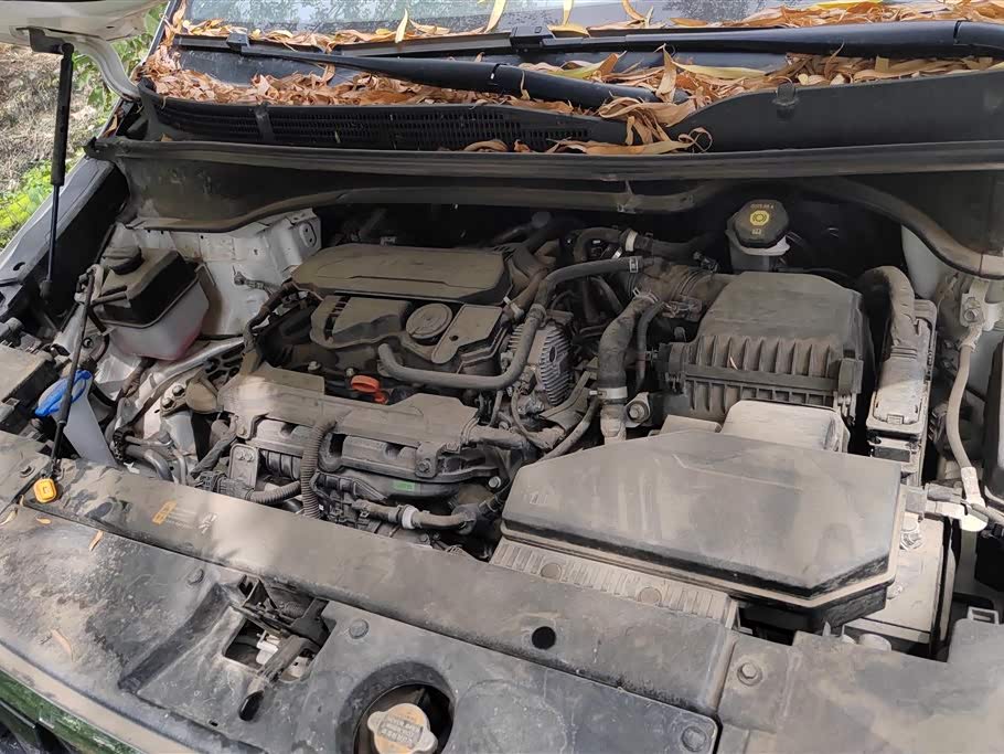 Hyundai Kustu