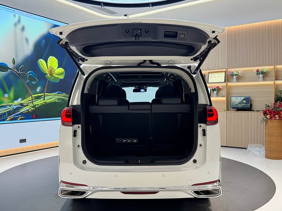 Trumpchi Trumpchi M8