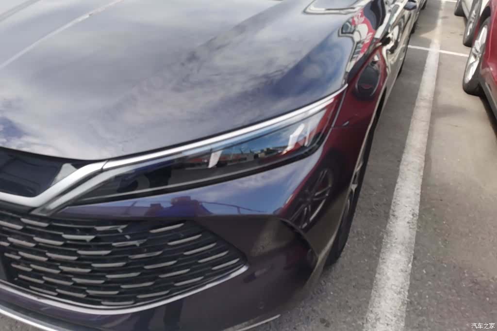 BYD Qin, 2024 все фото