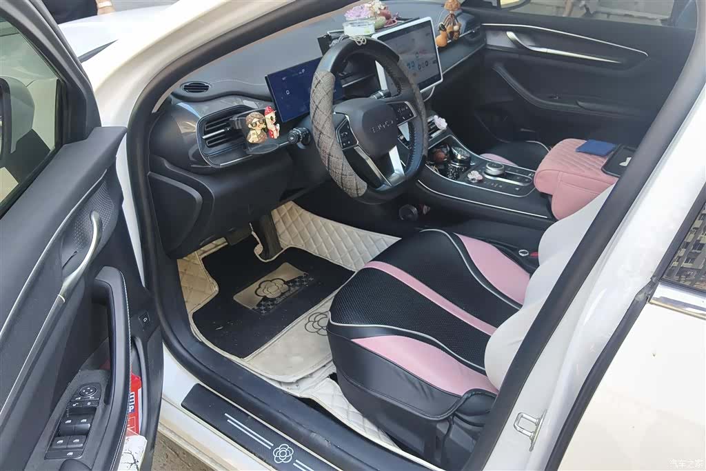 BYD Destroyer 05, 2024 9