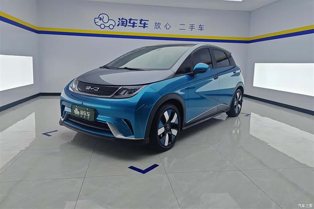 BYD Dolphin, 2022 1