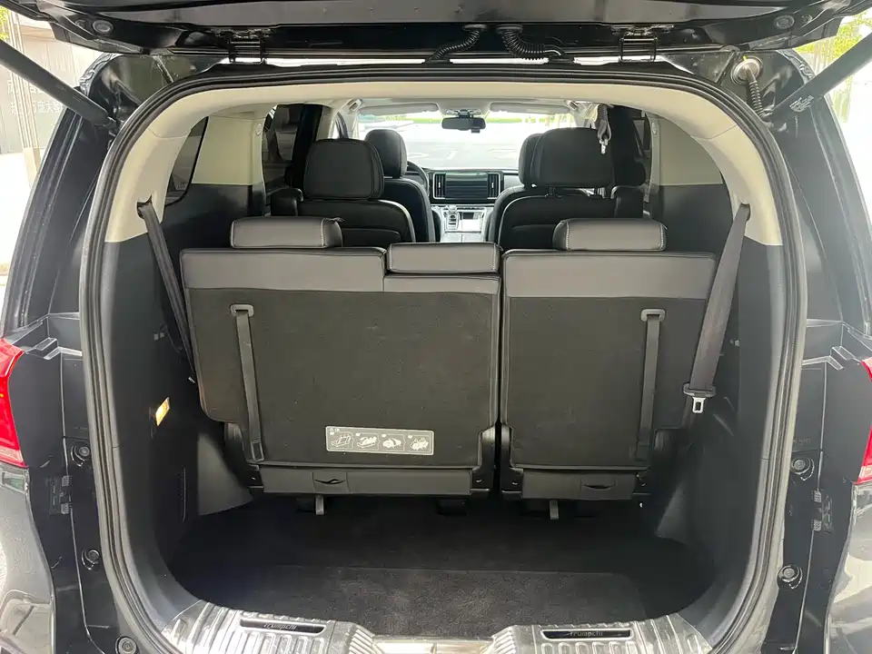 Trumpchi Trumpchi M8