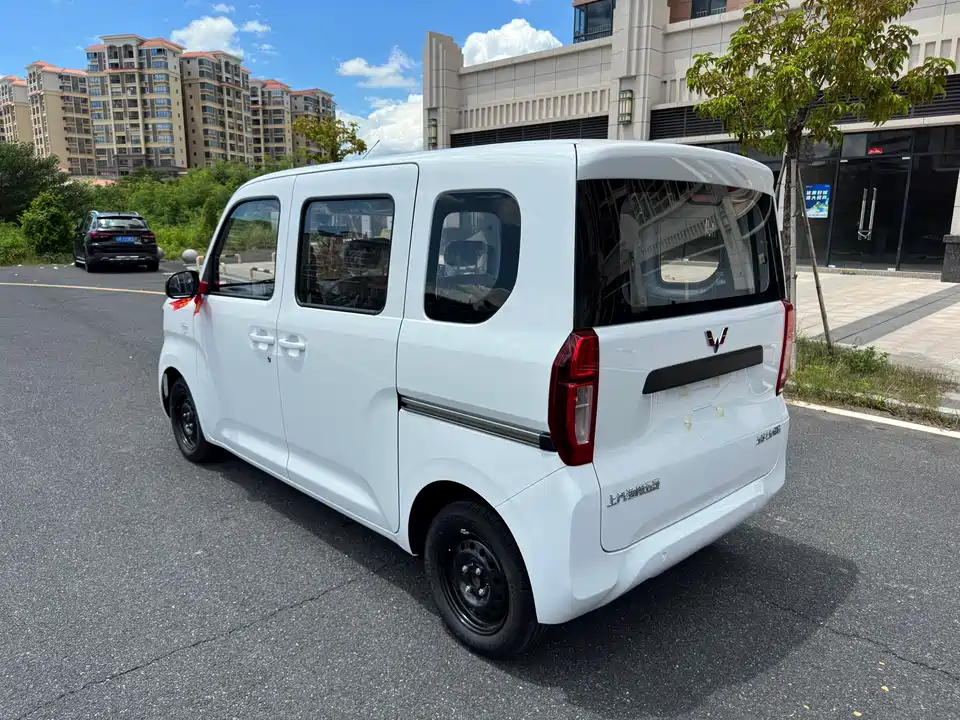 Wuling Wuling Zhiguang