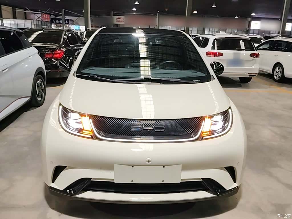 BYD Dolphin, 2023 3