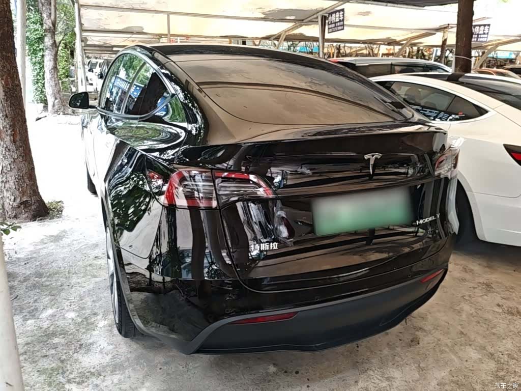 Tesla Model Y, 2022 все фото