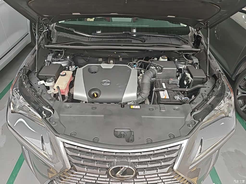 Lexus NX, 2019 20