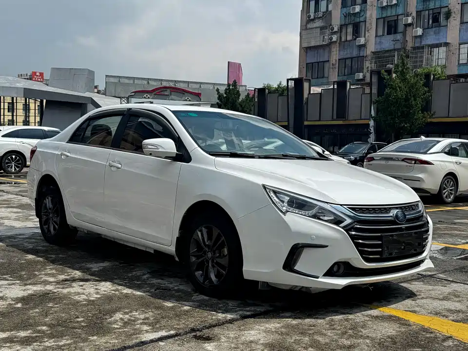 BYD Qinxin Energy