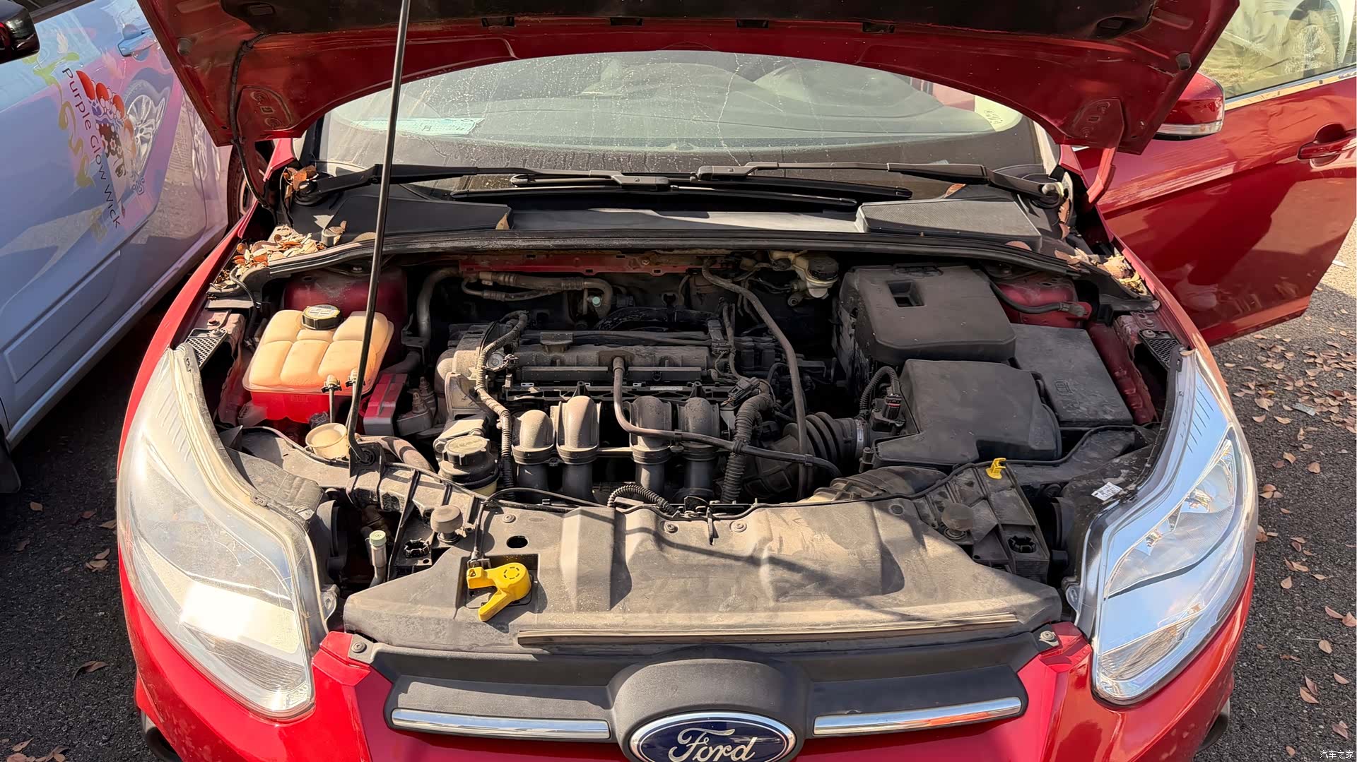 Ford Focus, 2013 15