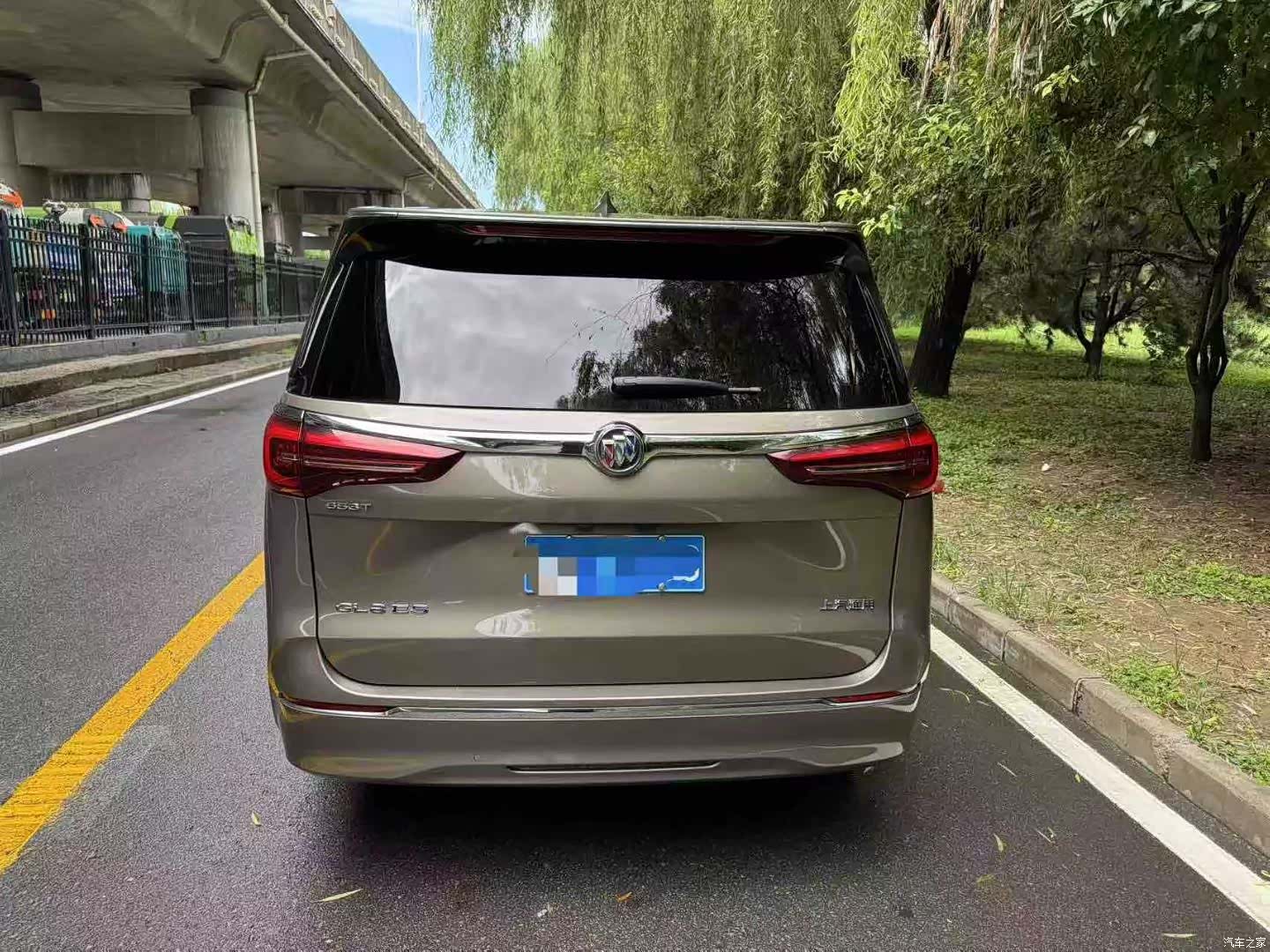 Buick GL8, 2020 все фото