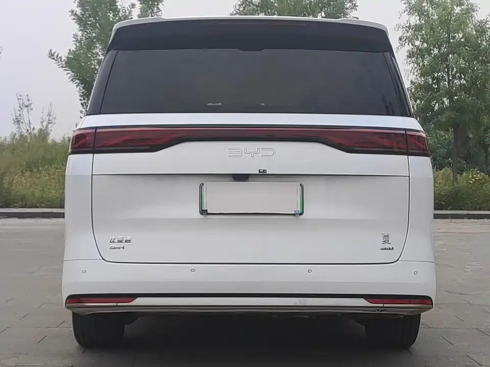 BYD summer BYD summer