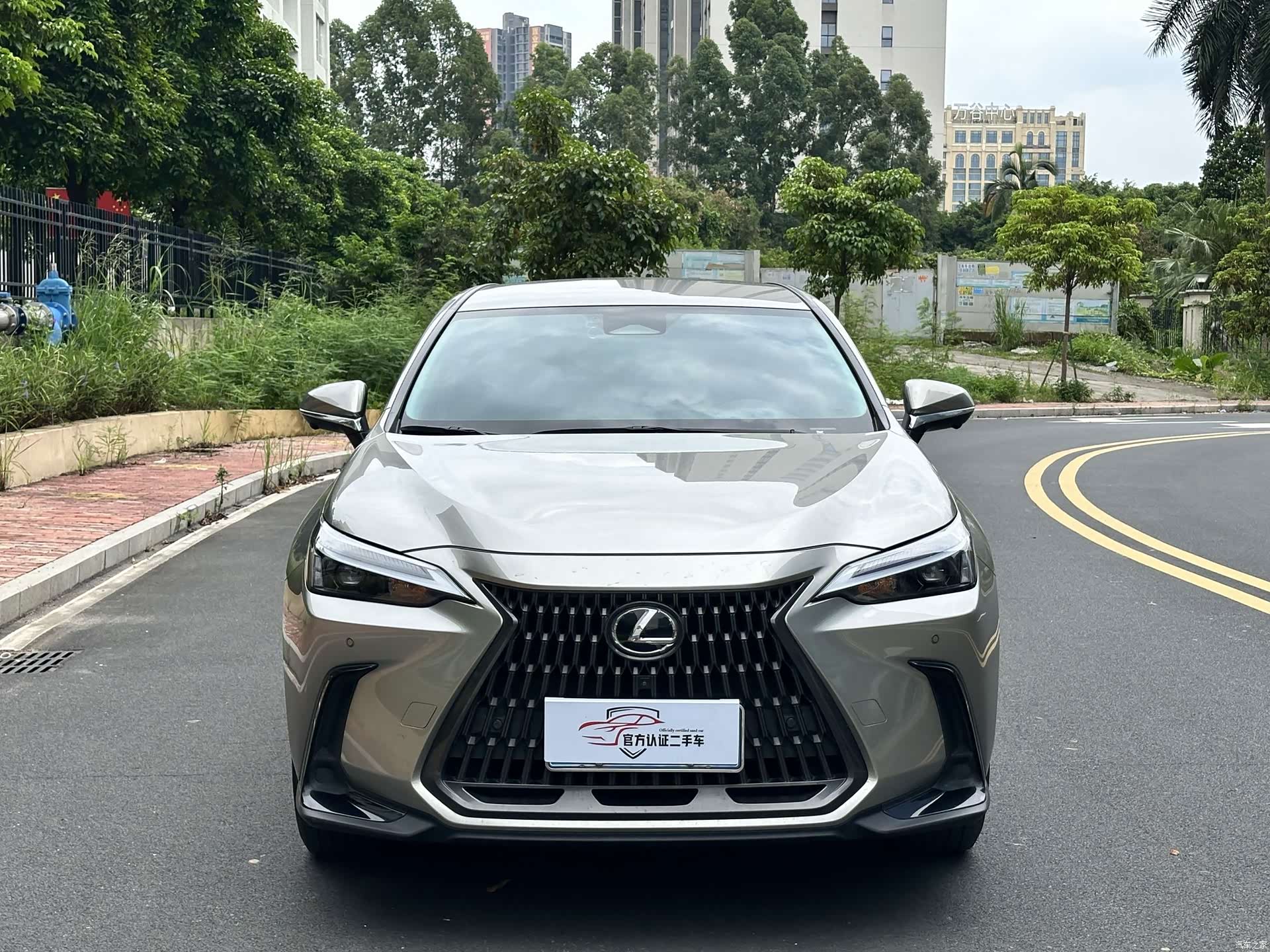 Lexus NX, 2024 2