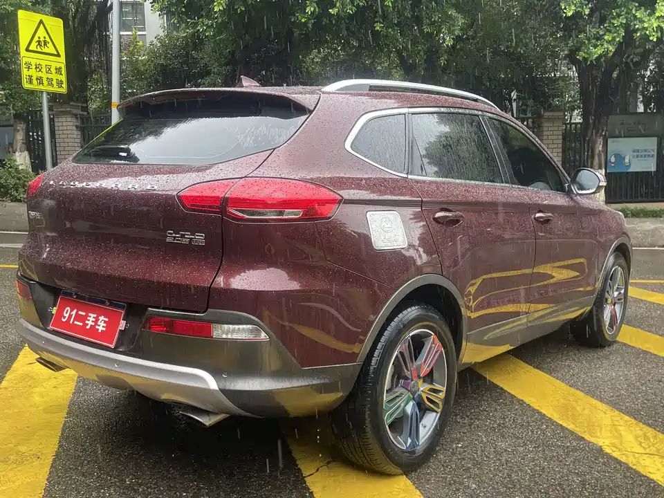 Leopaard Cheetah CS10