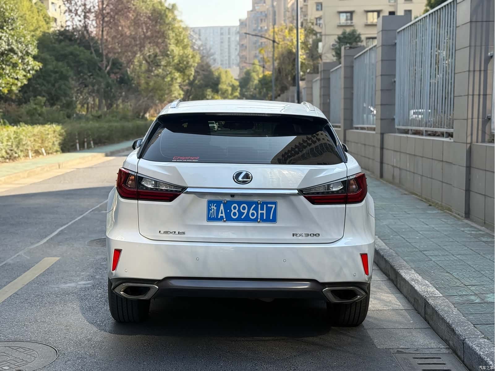 Lexus RX, 2017 4