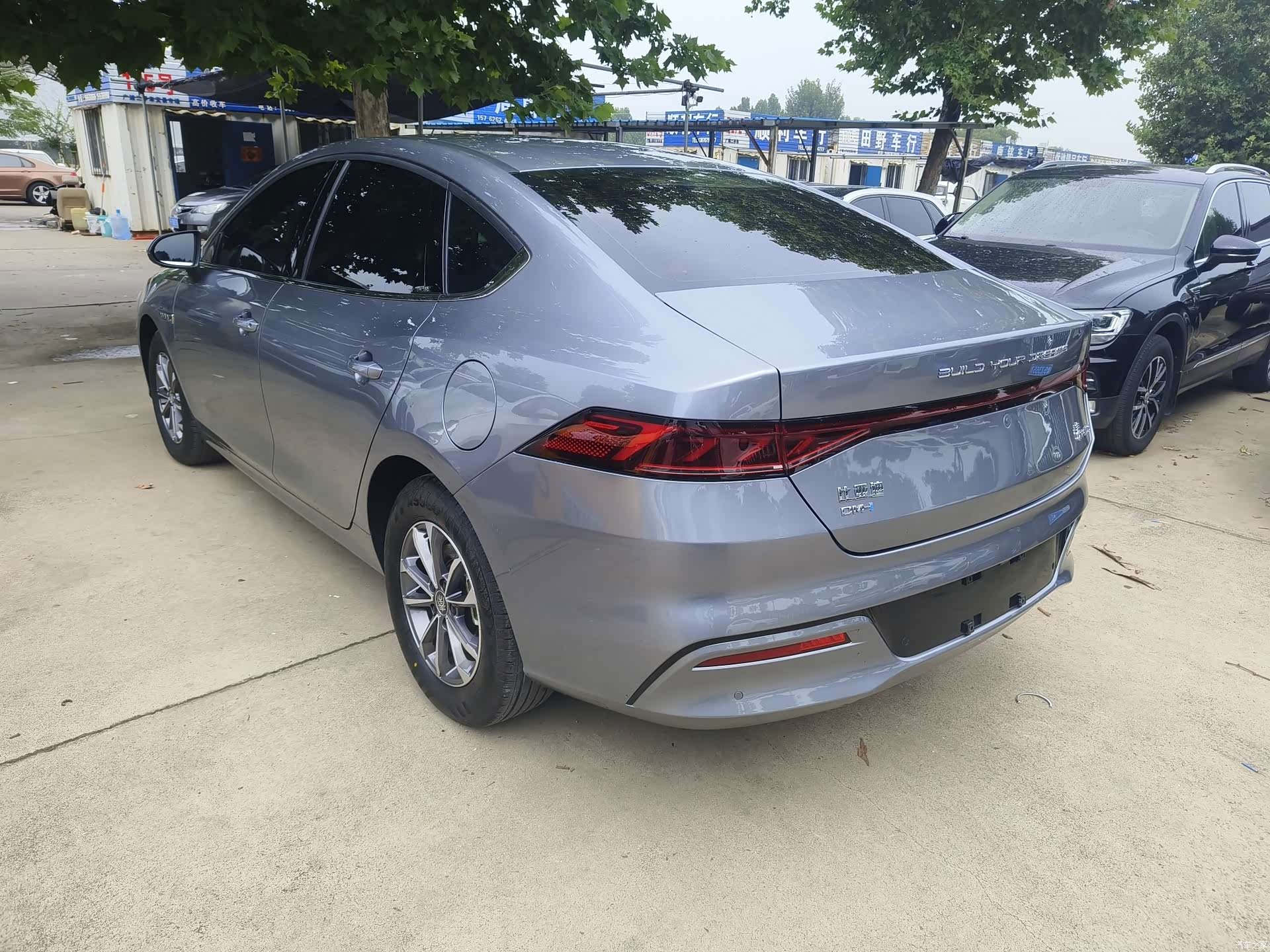BYD Qin, 2024 все фото
