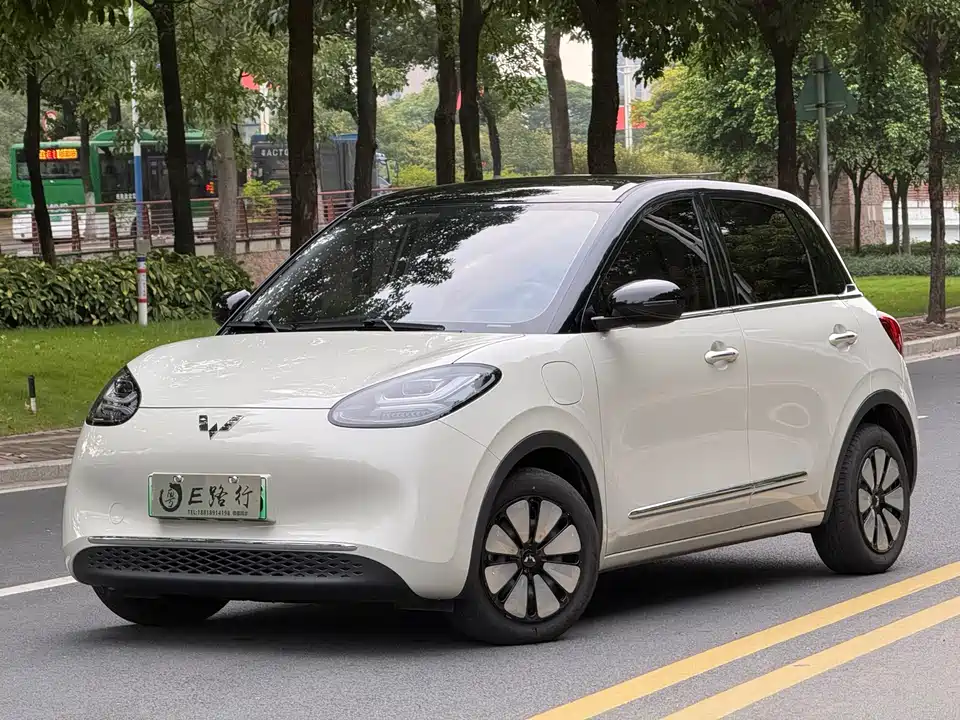 Wuling Wuling Bingguo