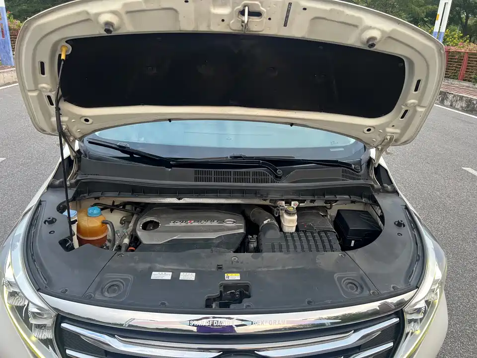 Trumpchi Trumpchi M8