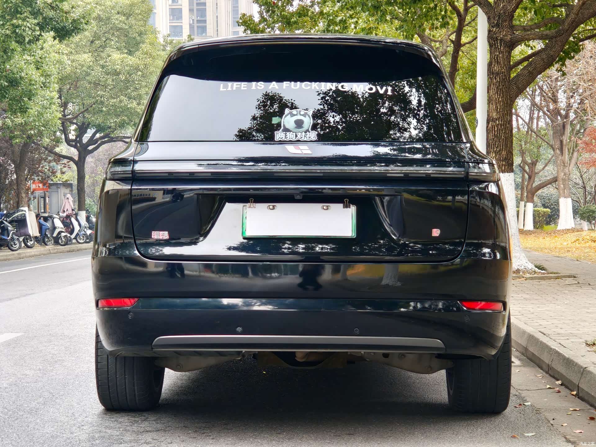 Li Auto L9, 2023 15