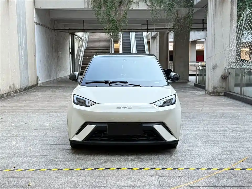 BYD Seagull