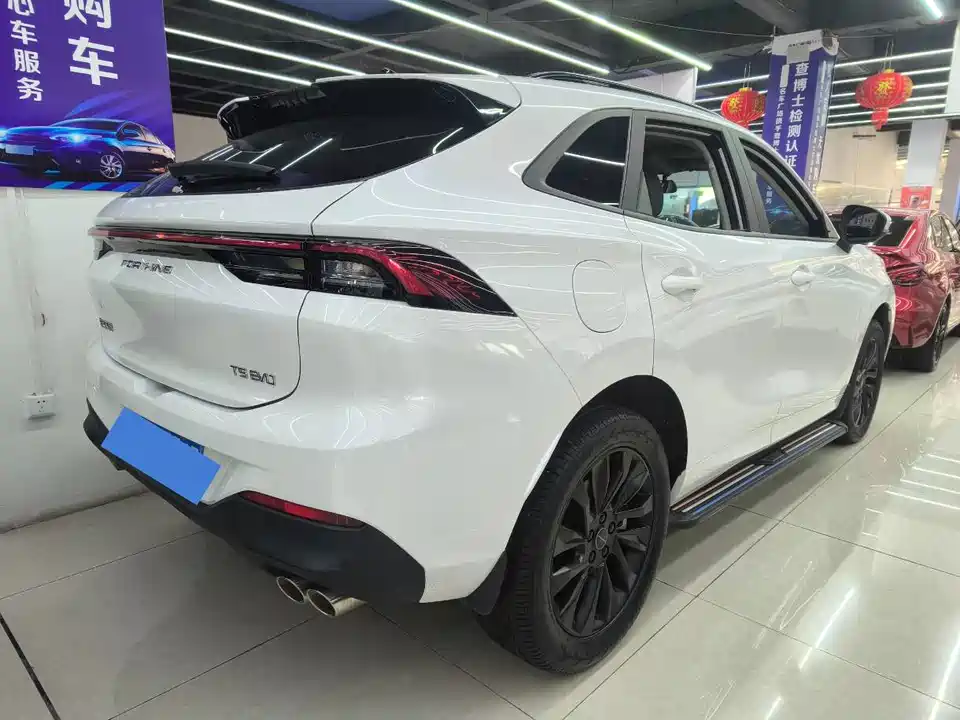 Forthing Popular T5 EVO