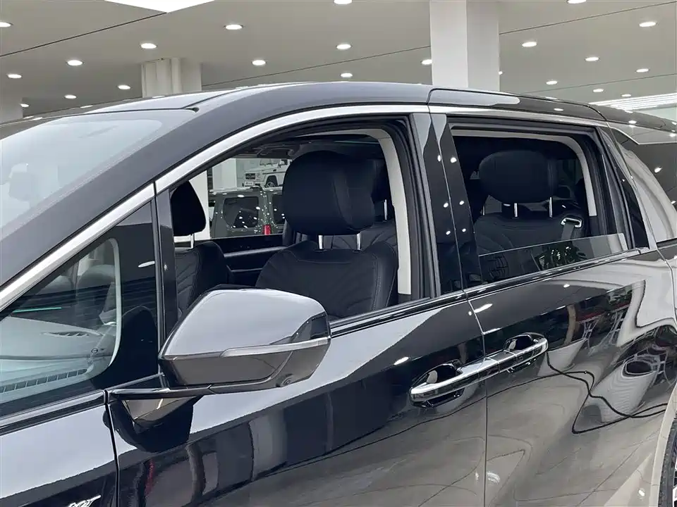 Trumpchi Trumpchi M8