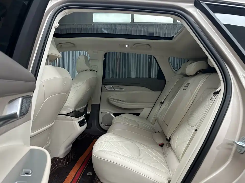 ARCFOX Polar Fox Alpha T6