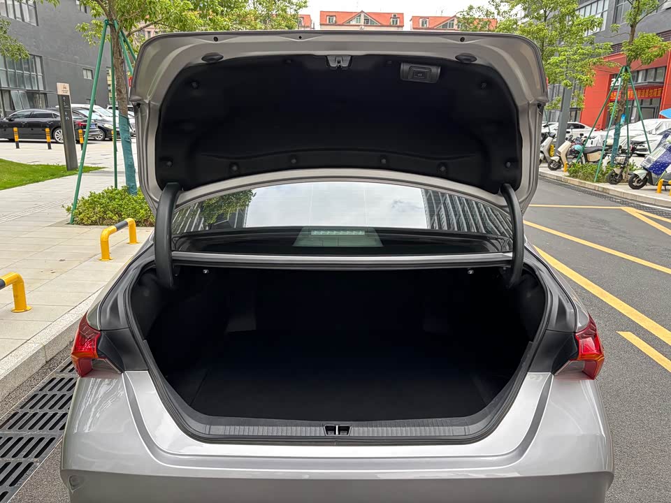 Toyota Asian dragon
