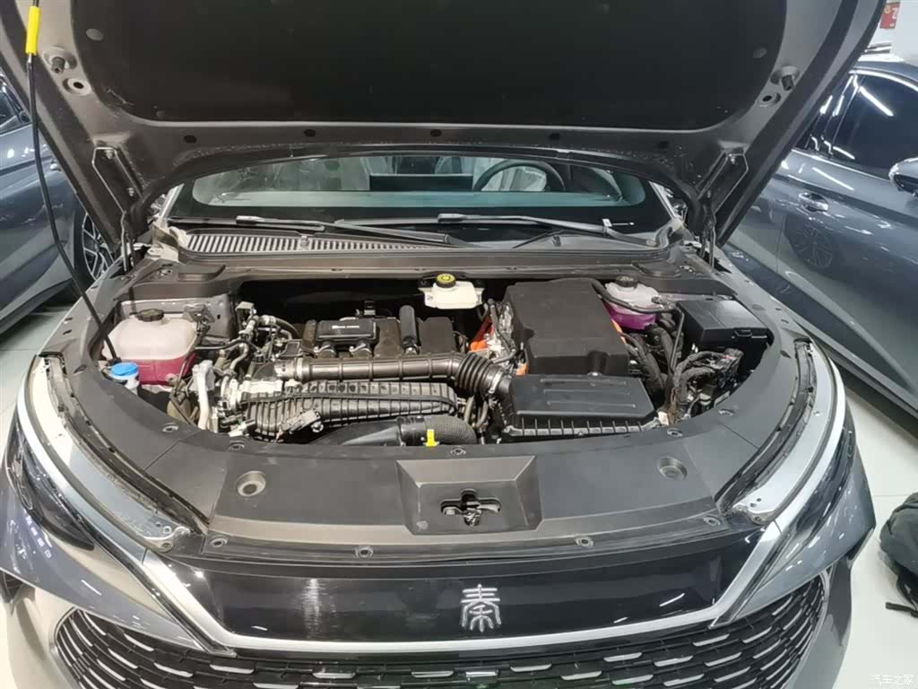 BYD Qin, 2025 20