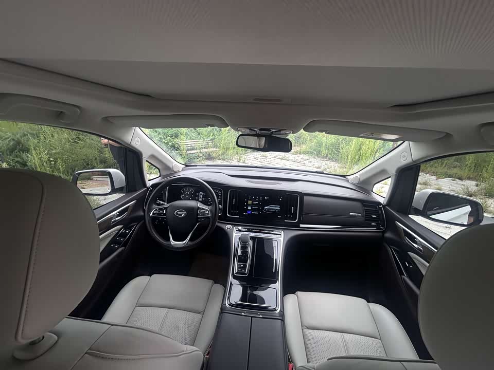 Trumpchi Trumpchi M8