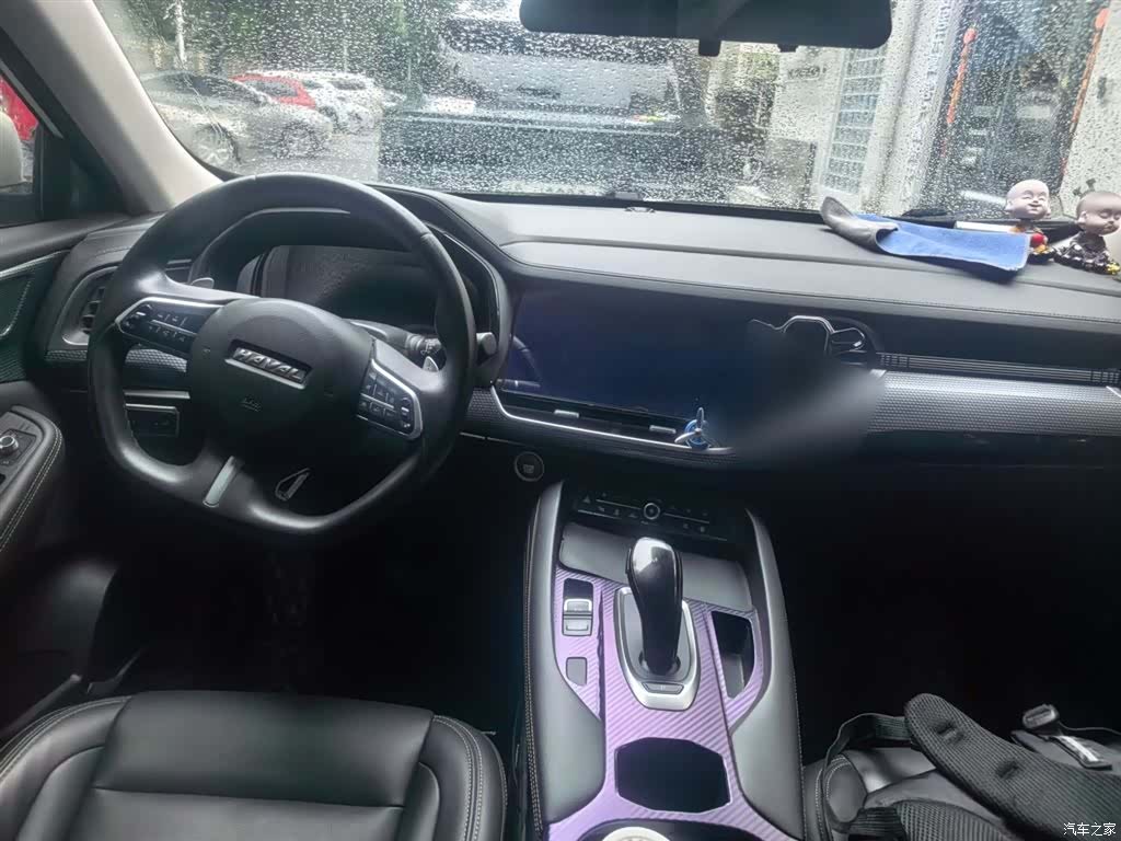 Haval F7x, 2020 10