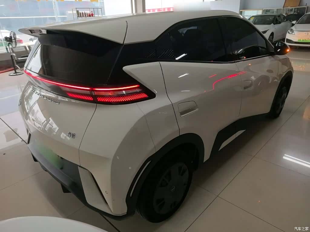 BYD Seagull, 2024 7