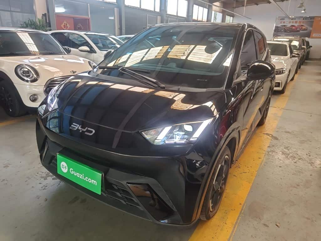 BYD Seagull