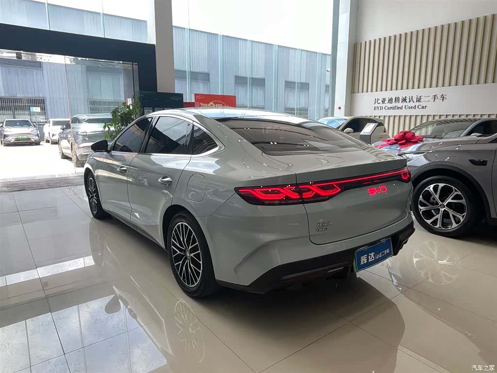 BYD Qin, 2024 все фото
