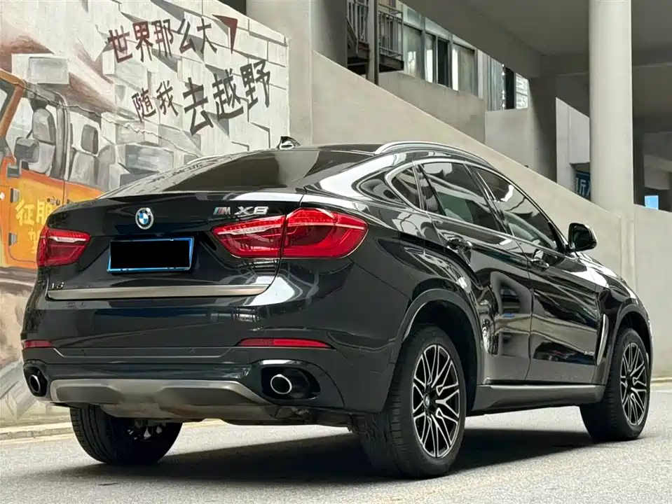 BMW X6