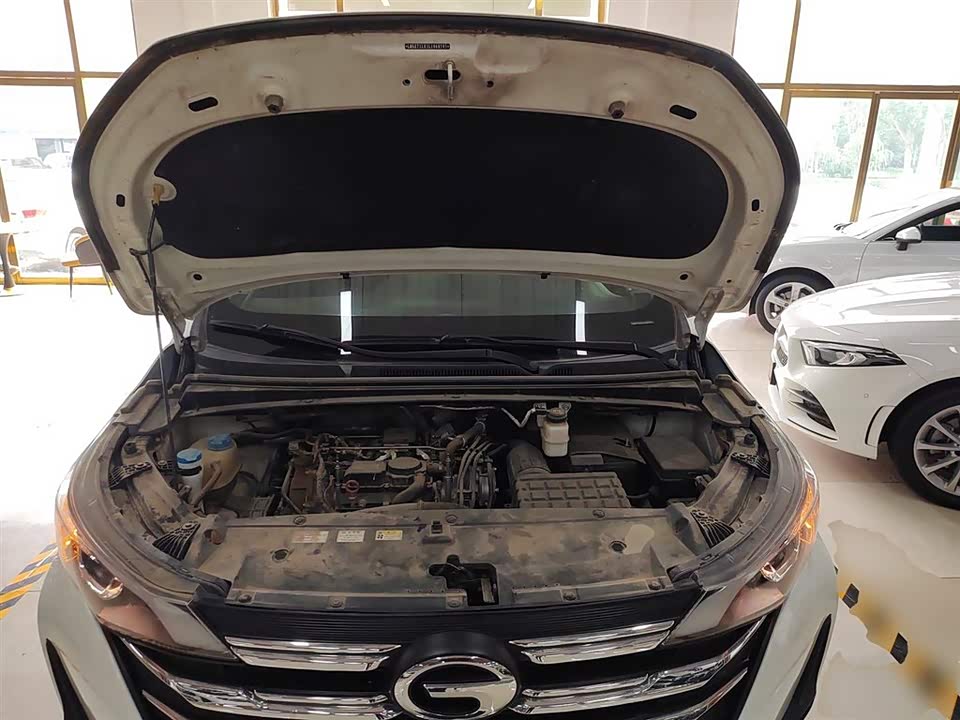 Trumpchi Trumpchi M6