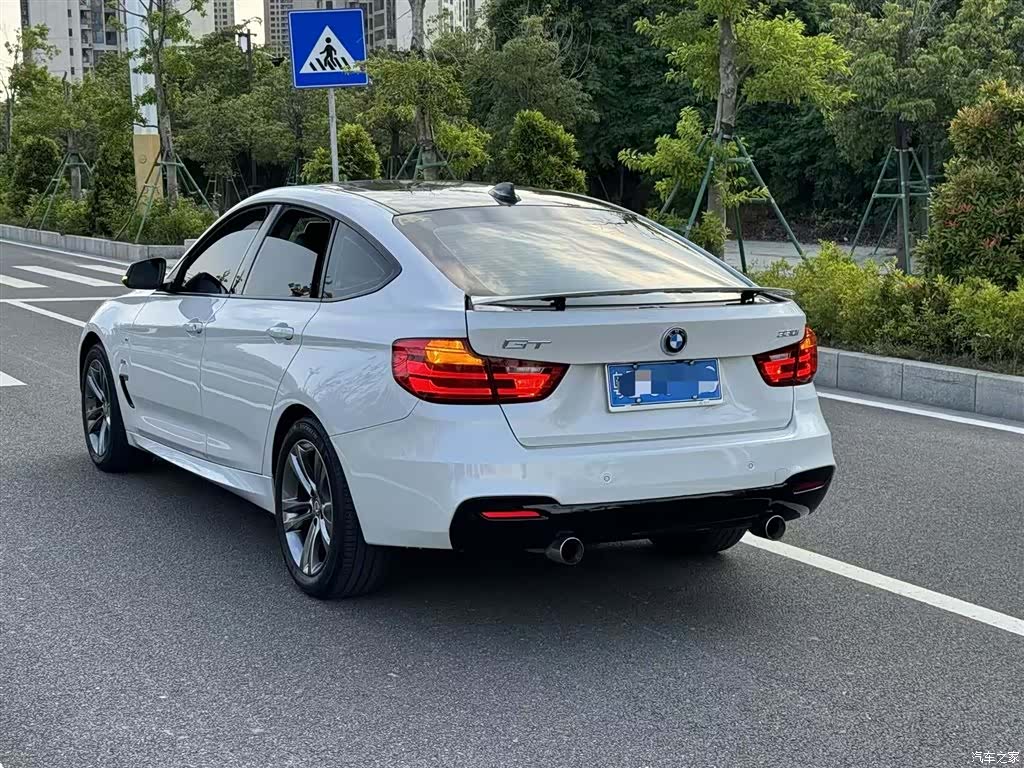 BMW 3 Series, 2016 9