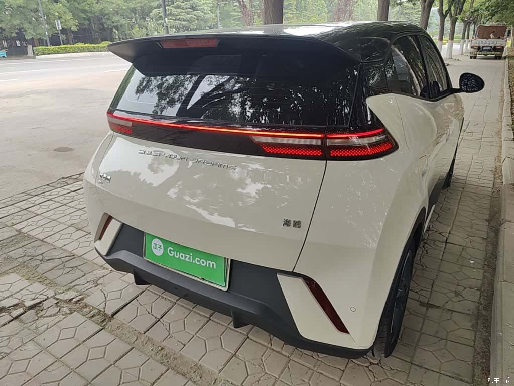 BYD Seagull, 2024 7