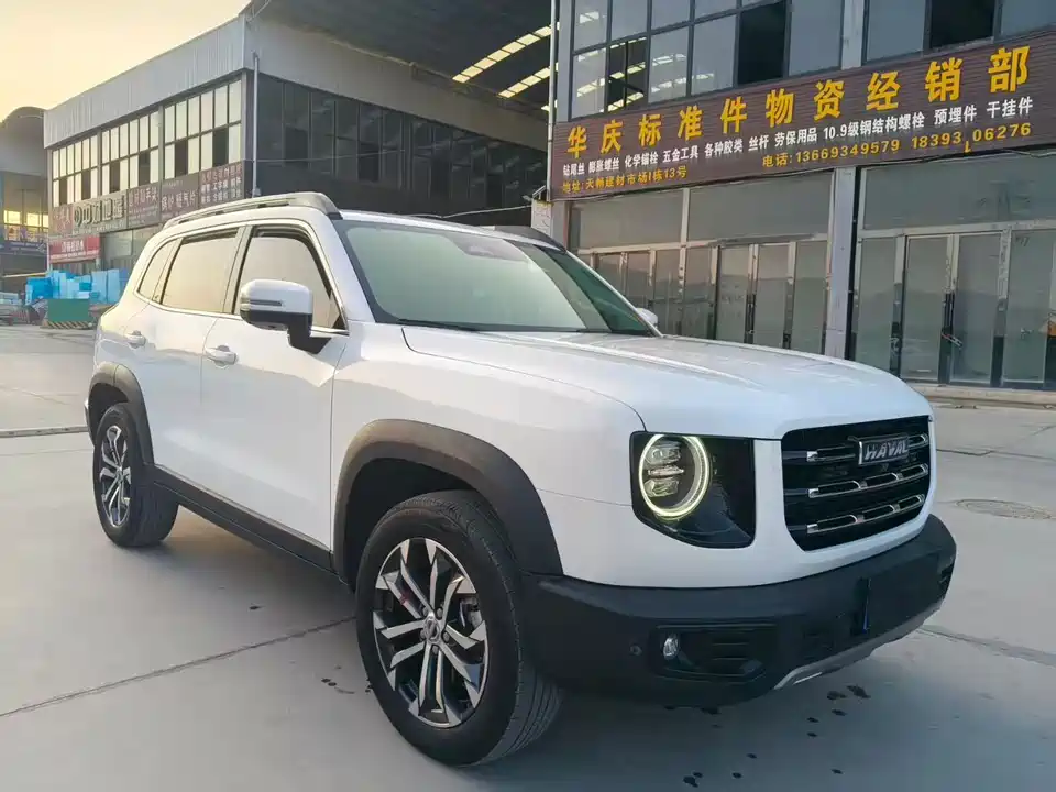Haval Big dog