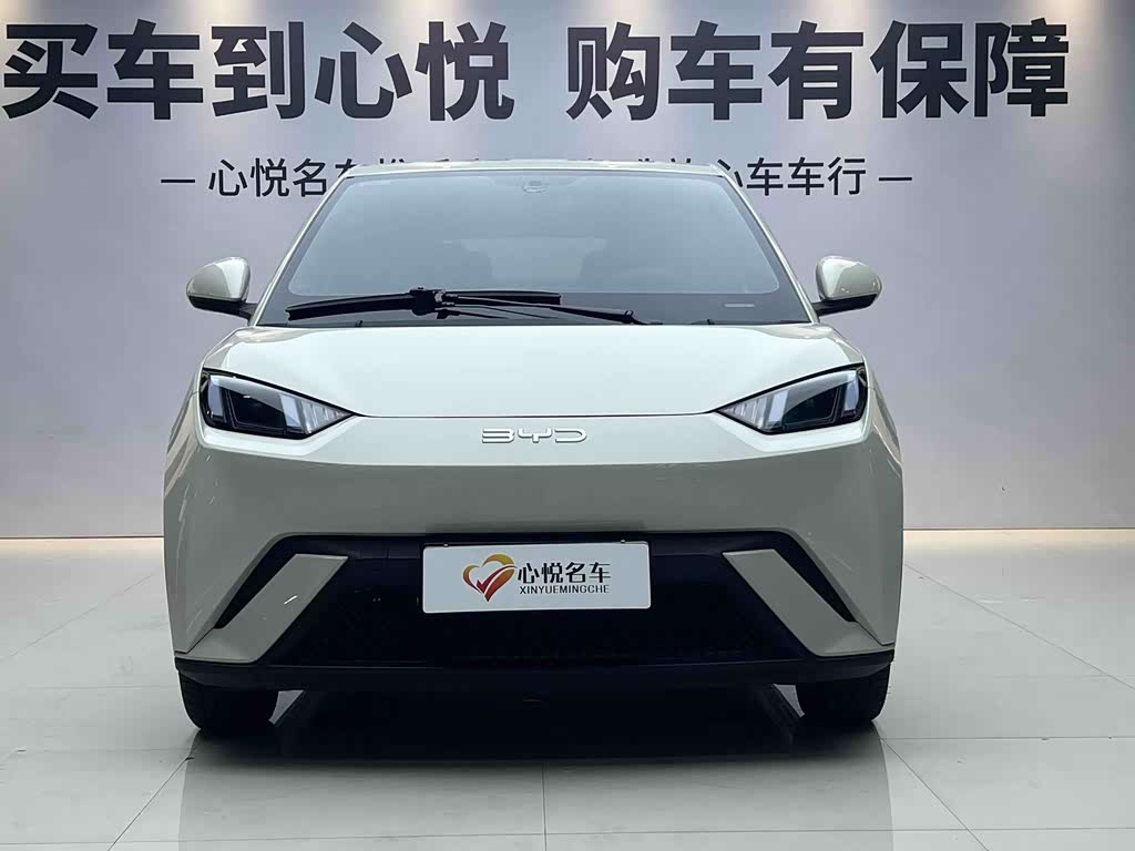 BYD Seagull