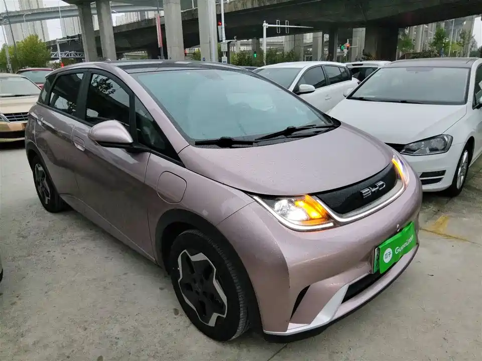 BYD dolphin