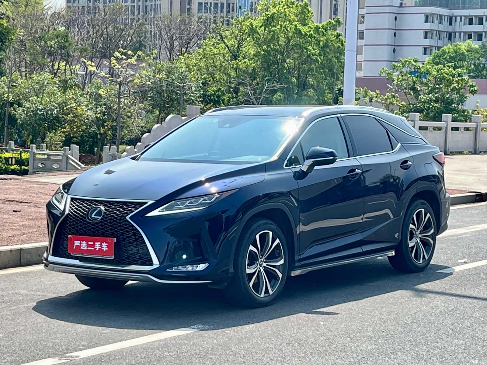 Lexus RX, 2019 10