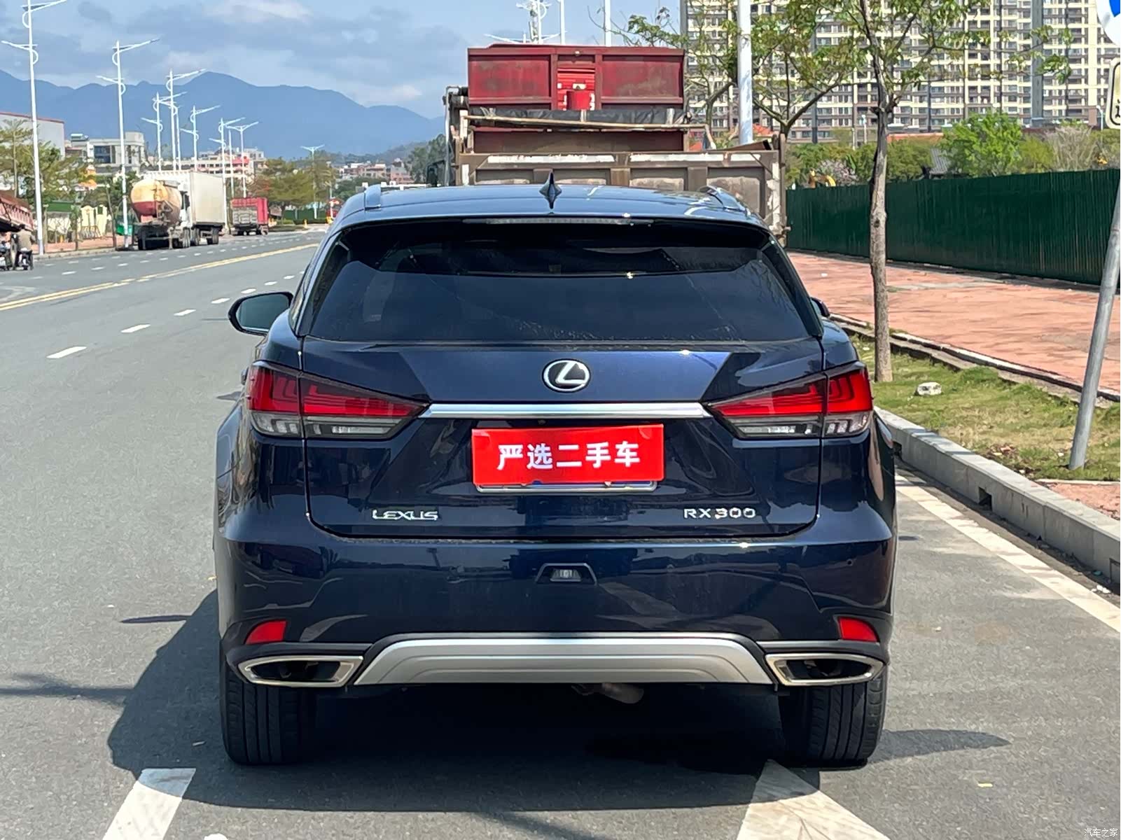 Lexus RX, 2019 8