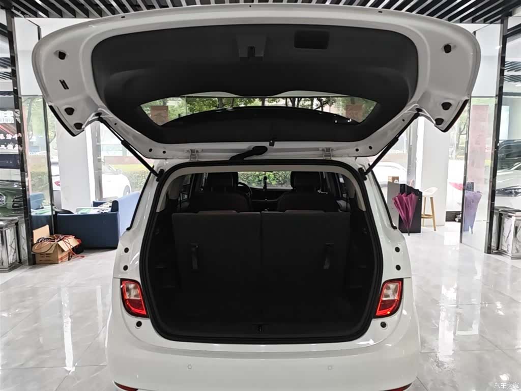 Buick GL6, 2020 19
